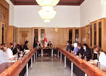 لقاء بسعادة سفير جمهورية ألمانيا الاتحادية بيتر بروغل